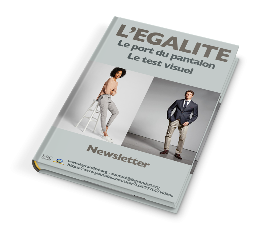 2019-11-mockup-egalite.png 2019-11-mockup-egalite.png