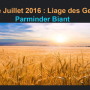 2016-07-pb-liage_des_gerbes_copie.png